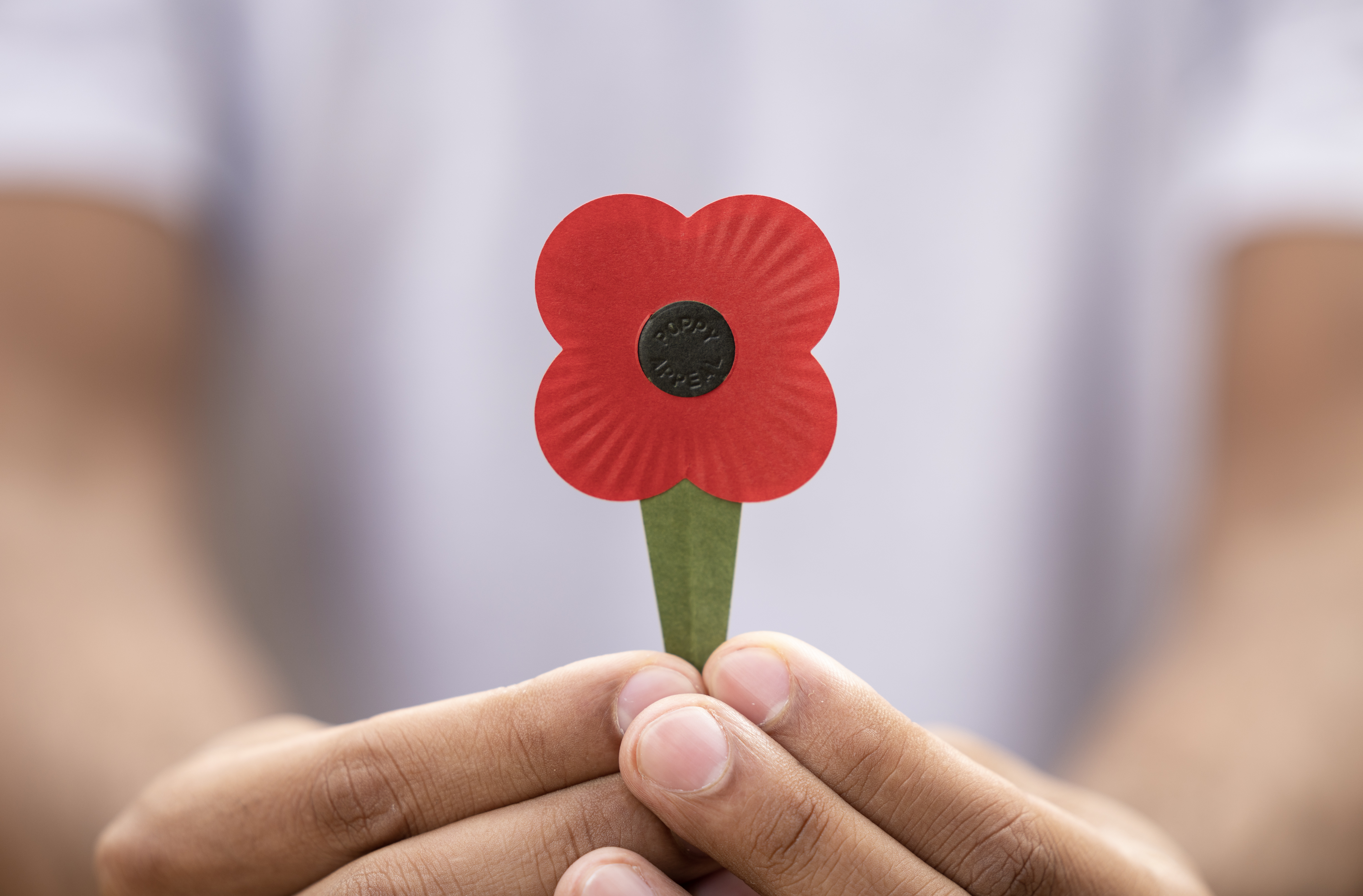 Remembrance poppies to be made entirely from paper in future, Remembrance  Day