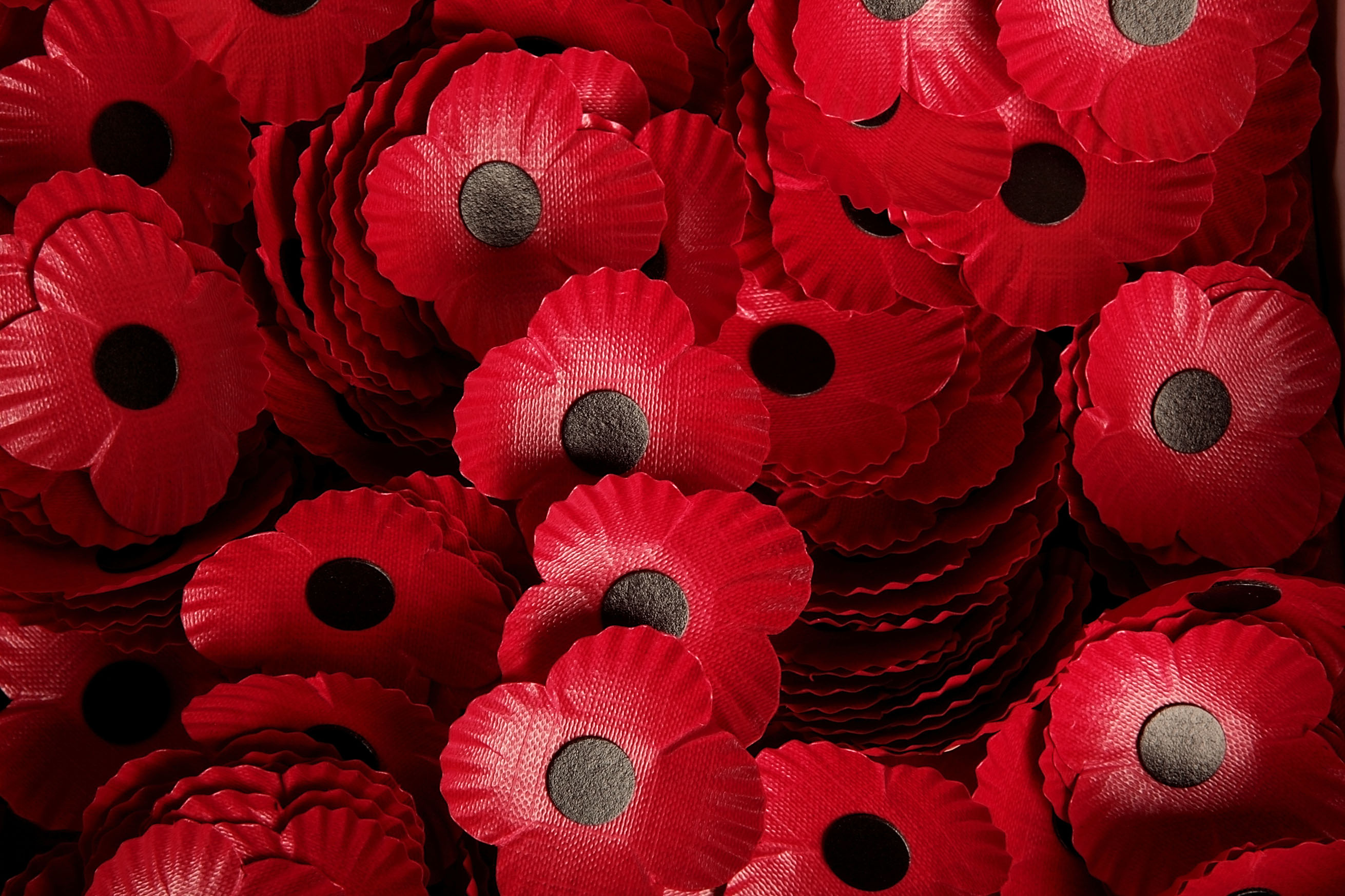 Poppy Faqs Scottish Poppy Appeal Poppyscotland